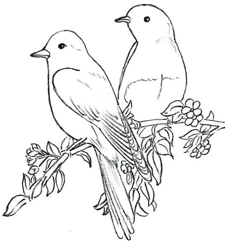 drawing pictures of birds free download|Bird Drawing Photos, Download The BEST Free Bird .